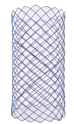 1513931852136458.bmp 尿道2.bmp